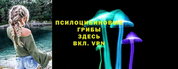 индика Михайловск