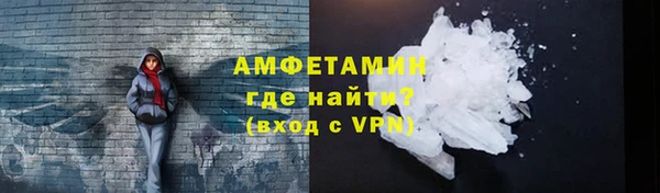 индика Михайловск