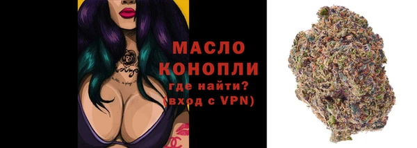 индика Михайловск