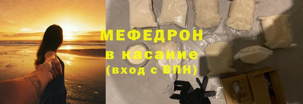 индика Михайловск