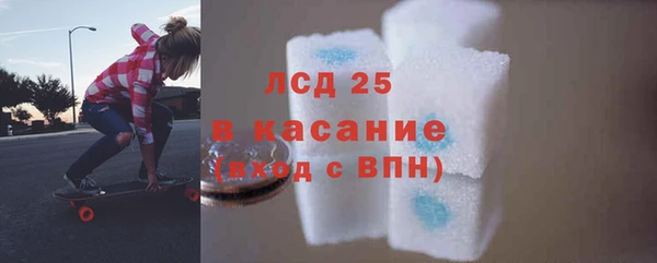 индика Михайловск