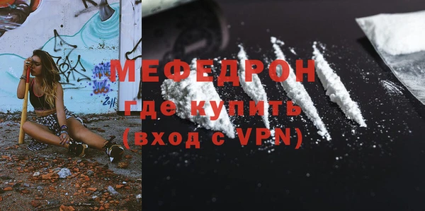индика Михайловск