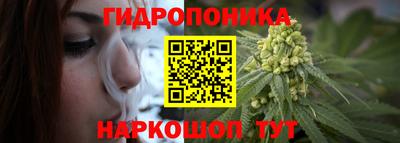 ПСИЛОЦИБИНОВЫЕ ГРИБЫ Бийск